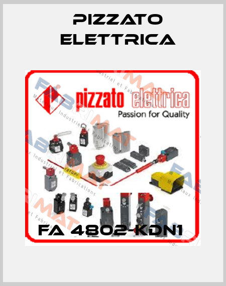 FA 4802-KDN1  Pizzato Elettrica