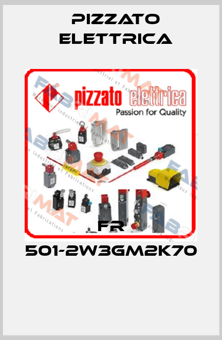 FR 501-2W3GM2K70  Pizzato Elettrica