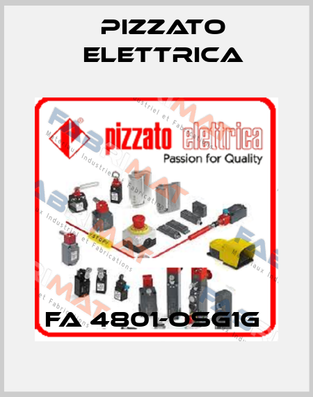 FA 4801-OSG1G  Pizzato Elettrica
