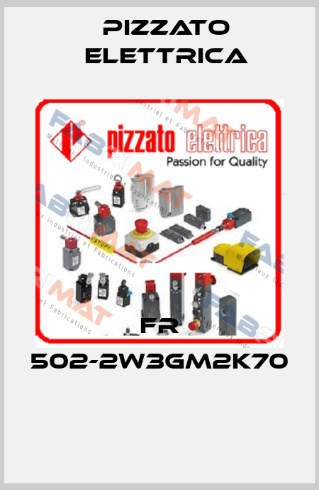 FR 502-2W3GM2K70  Pizzato Elettrica