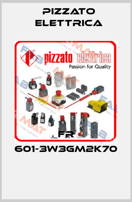 FR 601-3W3GM2K70  Pizzato Elettrica
