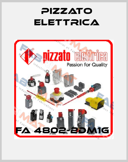 FA 4802-2DM1G  Pizzato Elettrica