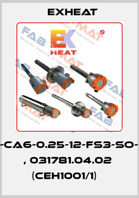 FP4-CA6-0.25-12-FS3-SO-RTD , 031781.04.02  (CEH1001/1)	  Exheat
