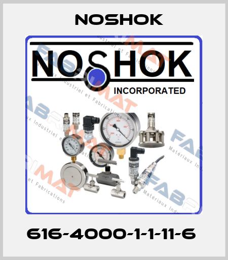 616-4000-1-1-11-6  Noshok