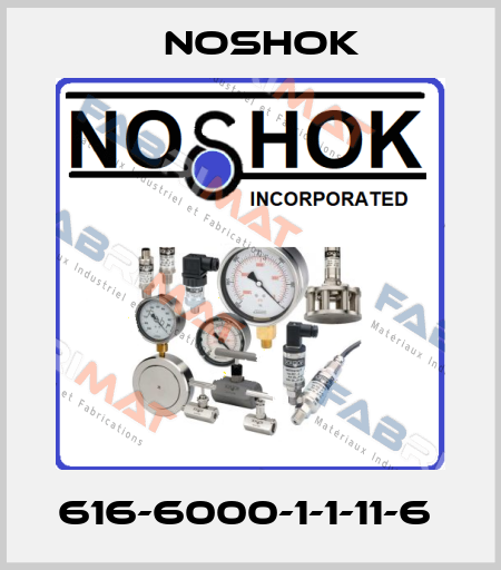 616-6000-1-1-11-6  Noshok