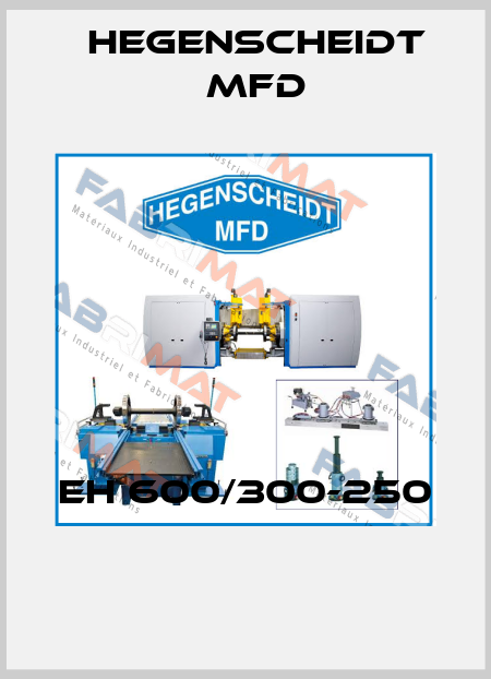 EH 600/300-250  Hegenscheidt MFD
