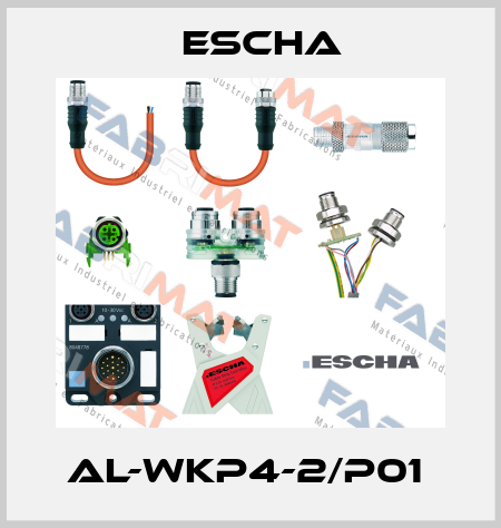AL-WKP4-2/P01  Escha