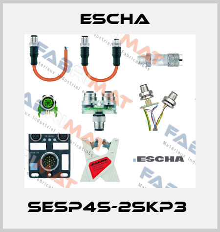 SESP4S-2SKP3  Escha