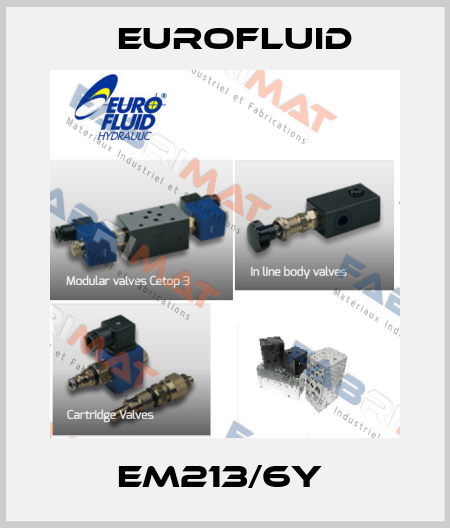 EM213/6Y  Eurofluid