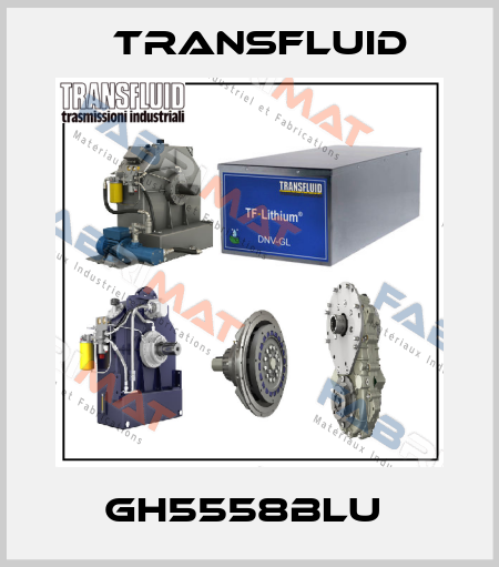GH5558BLU  Transfluid