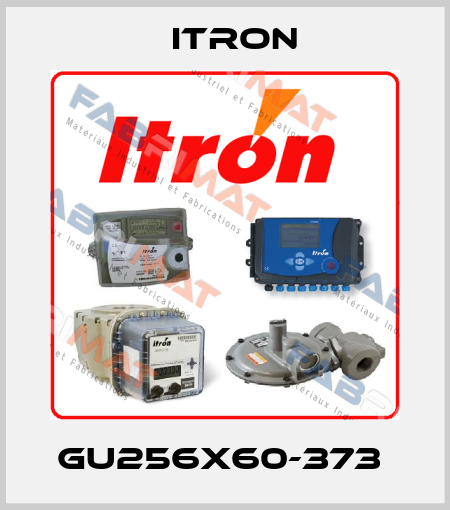 GU256X60-373  Itron