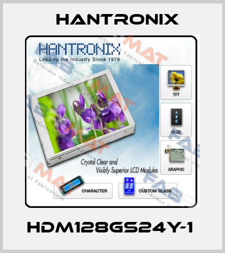 HDM128GS24Y-1  Hantronix
