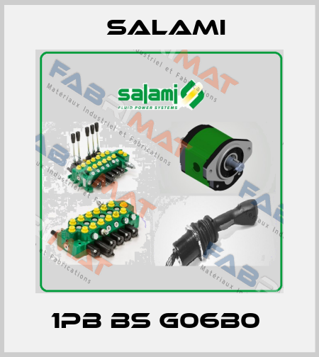 1PB BS G06B0  Salami