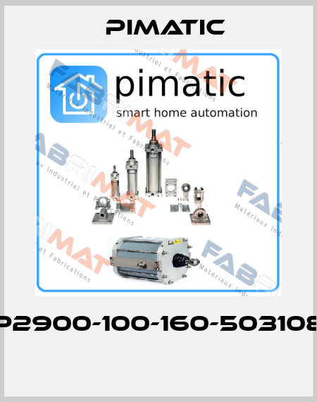 P2900-100-160-503108   Pimatic