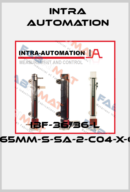 IBF-36/36-L D465MM-S-SA-2-C04-X-0-0  Intra Automation