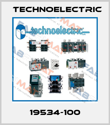 19534-100 Technoelectric