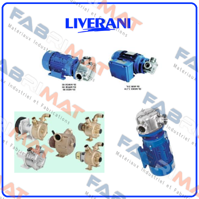 MINOR 40 3174007 Liverani