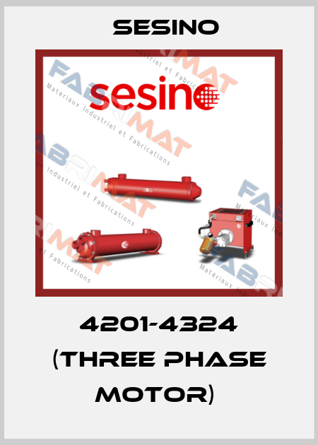 4201-4324 (Three phase motor)  Sesino
