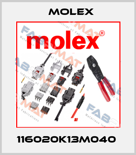 116020K13M040  Molex