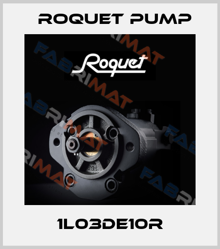 1L03DE10R Roquet pump