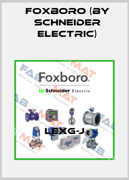 LEXG-J Foxboro (by Schneider Electric)