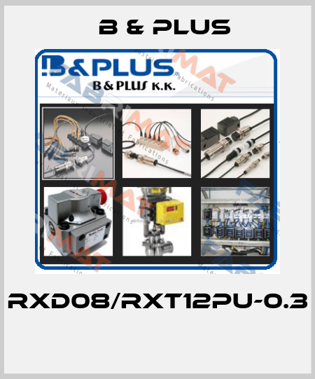 RXD08/RXT12PU-0.3  B & PLUS