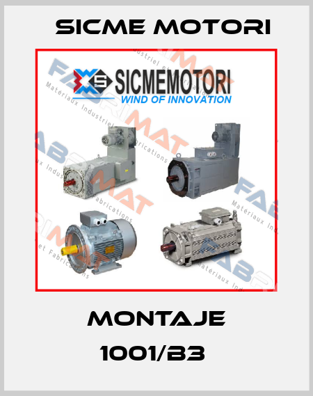 MONTAJE 1001/B3  Sicme Motori