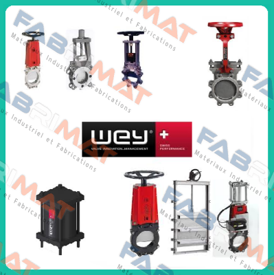 1VNA.100A226   Wey Valve
