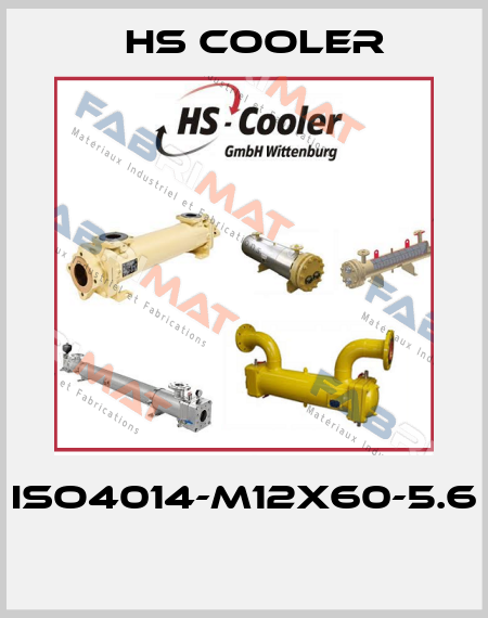 ISO4014-M12X60-5.6  HS Cooler