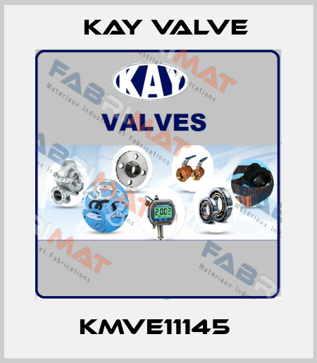 KMVE11145  Kay Valve