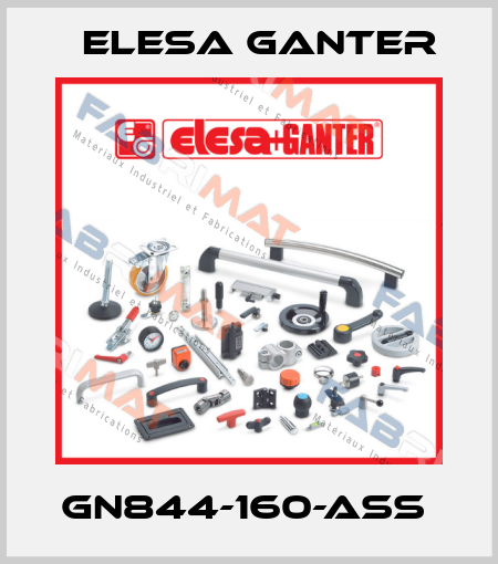 GN844-160-ASS  Elesa Ganter