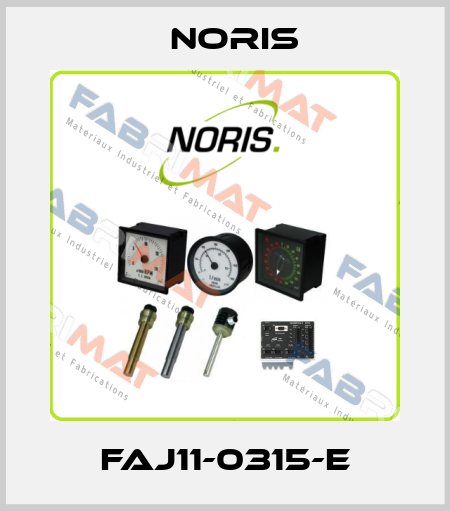 FAJ11-0315-E Noris