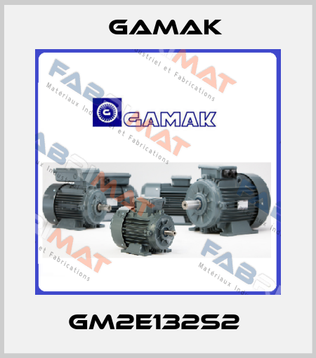 GM2E132S2  Gamak