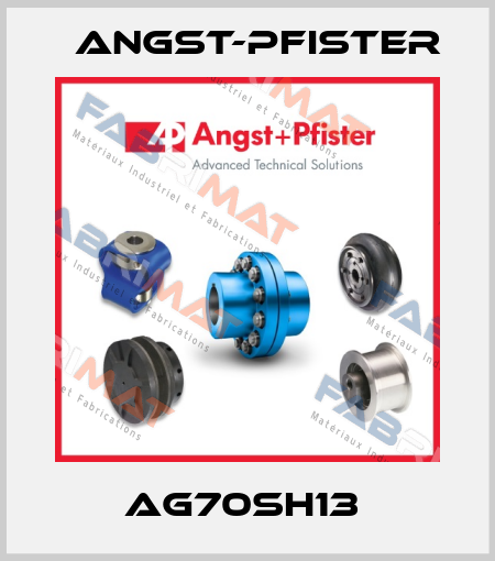 AG70SH13  Angst-Pfister