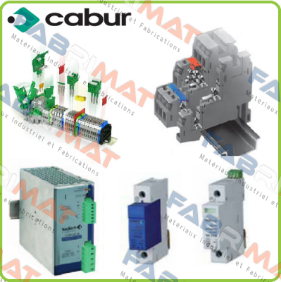 CS 8901017  Cabur