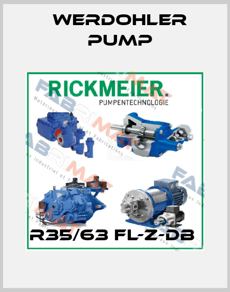 R35/63 FL-Z-DB  Werdohler Pump