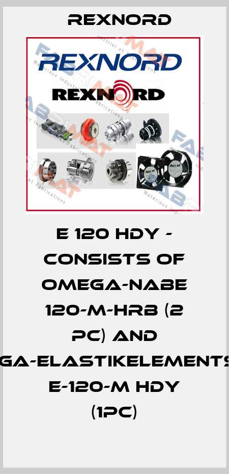 E 120 HDY - consists of OMEGA-Nabe 120-M-HRB (2 pc) and OMEGA-Elastikelementsatz E-120-M HDY (1pc) Rexnord