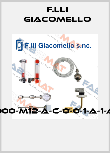 LVC/S-3-1000-M12-A-C-0-0-1-A-1-A-1-0-0-0-0  F.lli Giacomello