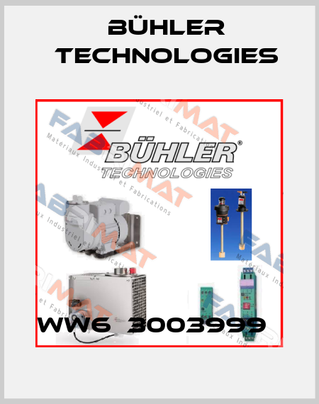 WW6  3003999   Bühler Technologies