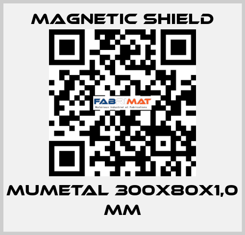 MuMETAL 300x80x1,0 mm Magnetic Shield