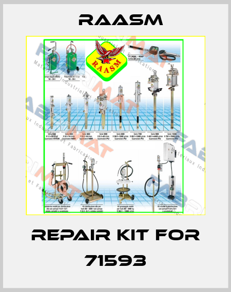 Repair kit for 71593 Raasm