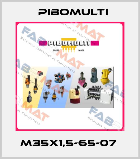 M35x1,5-65-07  Pibomulti
