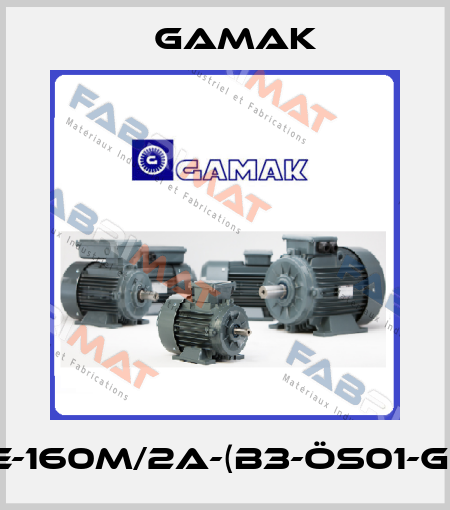 AGM2E-160M/2a-(B3-ÖS01-GAMAK) Gamak