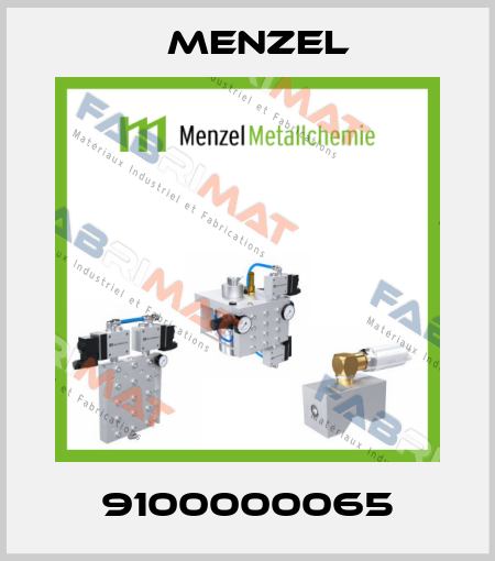 9100000065 Menzel