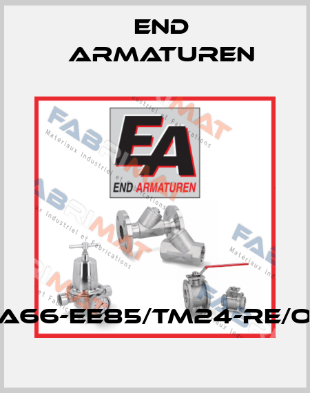 ZA66-EE85/TM24-RE/OS End Armaturen