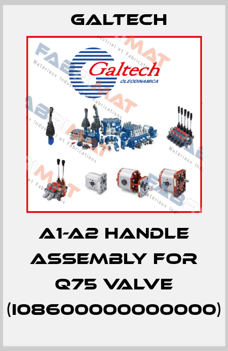 A1-A2 handle assembly for Q75 valve (I08600000000000) Galtech
