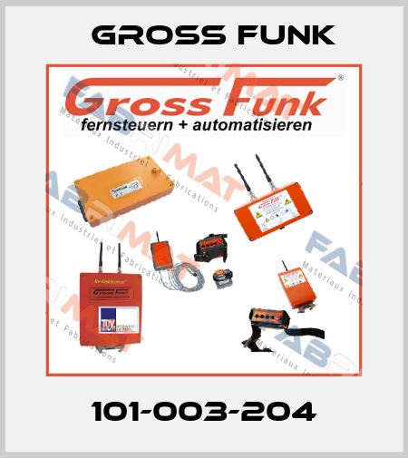 101-003-204 Gross Funk