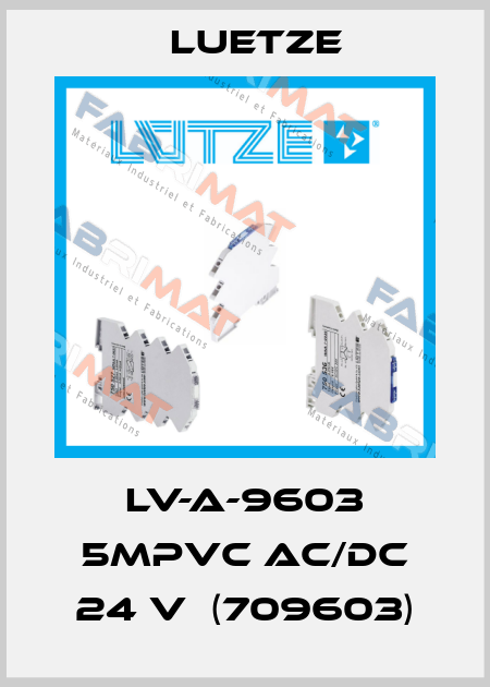 LV-A-9603 5mPVC AC/DC 24 V  (709603) Luetze