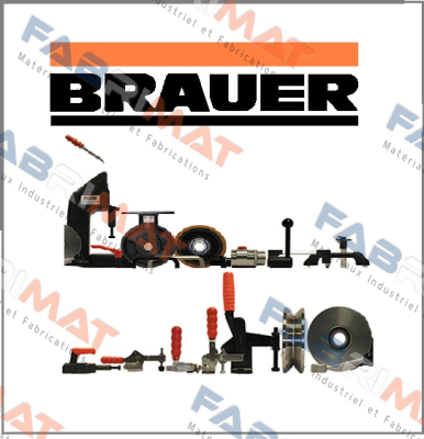 AM40A Brauer