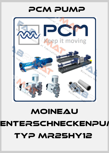 MOINEAU EXZENTERSCHNECKENPUMPE TYP MR25HY12  PCM Pump